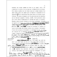 Image du manuscrit
