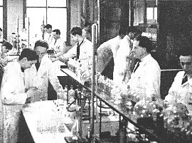 labo_chimie.jpg (28141 octets)