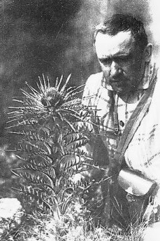 marivic_mingan.jpg (37408 octets)