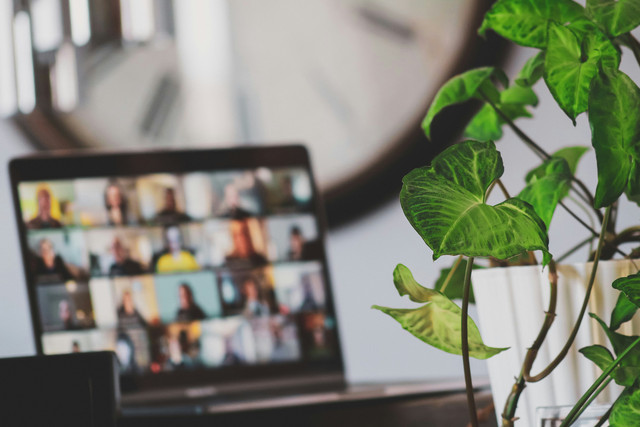 Webinaires